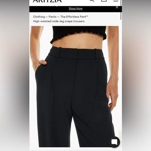 Aritzia Wilfred Women Trousers